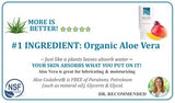 Aloe Cadabra Organic Lubricant - 2.5 Oz Bottle Mango Passion