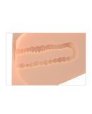 PDX Plus EZ Bang Torso - Light