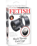Fetish Fantasy Series Shock Therapy Cock Cage