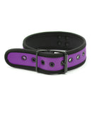Plesur Neoprene Puppy Collar - Purple