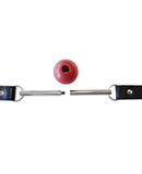 Rouge Leather Ball Gag w/Removable Ball - Black w/Red