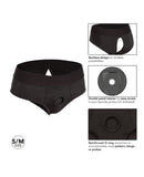 Her Royal Harness Backless Brief S/M - Black