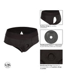 Her Royal Harness Backless Brief L/XL - Black