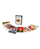 Wood Rocket Classic Porn Playing Cards