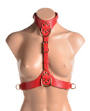 Strap U Laced Seductress Lace Crotchless Panty Harness w/Garter Straps - S/M Black