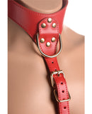 Strap U Laced Seductress Lace Crotchless Panty Harness w/Garter Straps - S/M Black