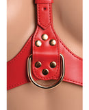 Strap U Laced Seductress Lace Crotchless Panty Harness w/Garter Straps - S/M Black