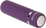 Evolved Petite Passion Rechargeable