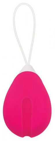 Evolved Rechargeable Egg R/c Silicone Pink