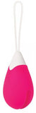 Evolved Rechargeable Egg R/c Silicone Pink