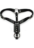 Kinklab Anal Plug Harness With Cock Ring