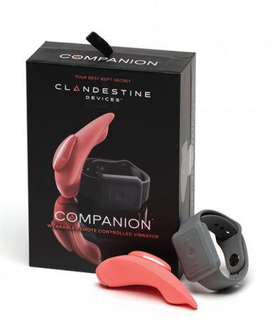 The Companion Remote Control Panty Vibe