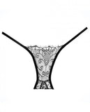 Adore Lace Enchanted Belle Panty Black O/S