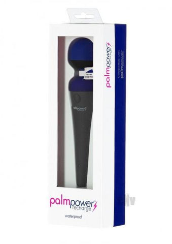 Palmpower Recharge Massager Blue