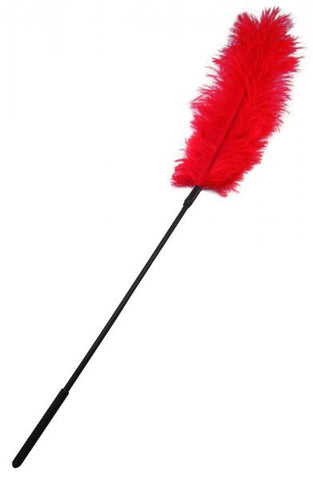 Ostrich Feather Red Tickler