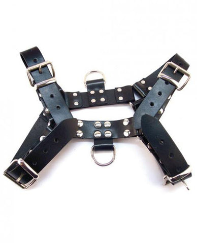 O.t.h Leather Harness - Black Size Extra Large