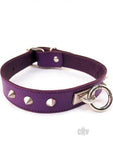 O-Ring Studded Thin Collar - PURPLE