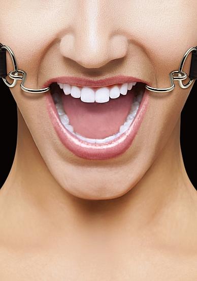 Ouch Hook Gag with Leather Straps O/S