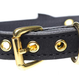 Golden Kitty Cat Bell Collar - Black/gold