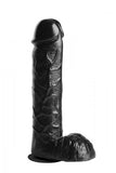 Infiltrator Hollow Strap On With 10 Inches Dildo Black