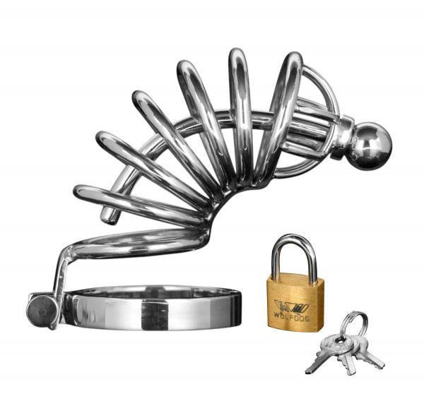 Asylum 6 Ring Locking Chastity Cage