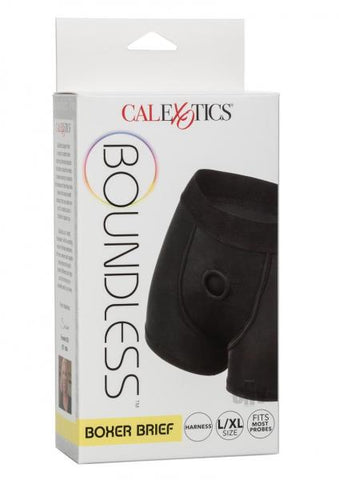 Boundless Boxer Brief L/xl