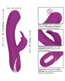 Jack Rabbit Silicone Thumping Rabbit Vibrator Purple