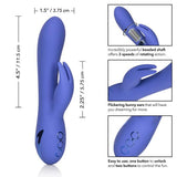 California Dreaming Beverly Hills Bunny Vibrator