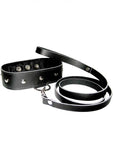 Sportsheets Leather Leash and Collar