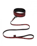 Fifty Shades Of Grey Sweet Anticipation Collar & Lead