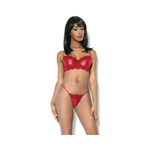 Lace And Matte Wetlook Bra And G-string Merlot S/m Hanging