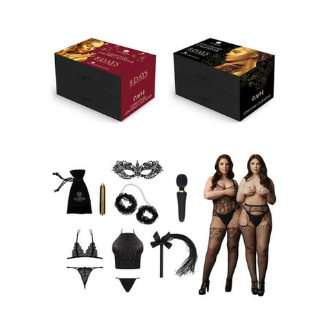 Shots Le Desir 8 Days Of Lingerie & Toy Calendar Box Queen Size