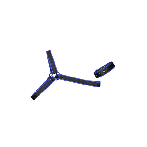 Ouch Gladiator Harness - Blue