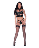 Hard Candy Demi Bra, Harness & Garter Panty Black L/XL