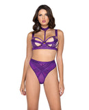 Bondage Stripe Demi Cup Underwire Bra & Panty Purple LG