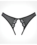 Adore Mirabelle Plum Panty Black O/S