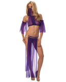 Sexy Belly Dancer Top, Arm Sleeves, Half Skirt & Panty Midnight Purple/Gold O/S