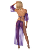 Sexy Belly Dancer Top, Arm Sleeves, Half Skirt & Panty Midnight Purple/Gold O/S