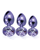 Nixie Metal Butt Plug Trainer Set w/Inlaid Jewel - Purple Metallic