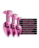 Nixie Metal Butt Plug Trainer Set w/Inlaid Jewel - Pink Metallic