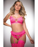 Pinklicious Bra Top, Hight Waist Hip Hugger Garter Panty Love Me Pink O/S