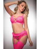 Pinklicious Bra Top, Hight Waist Hip Hugger Garter Panty Love Me Pink O/S