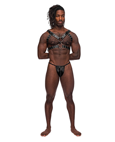 Leather Gemini Double Ring Harness Black O/S