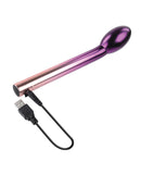 Playboy Pleasure Afternoon Delight G-Spot Stimulator - Ombre Chrome