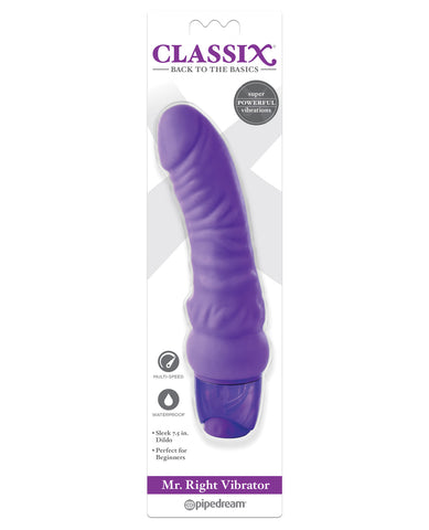 Classix Mr Right Vibrator - Purple