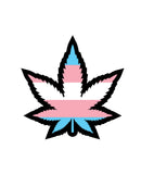 Wood Rocket Weed Trans Pride Leaf Large Pin - Multi Color